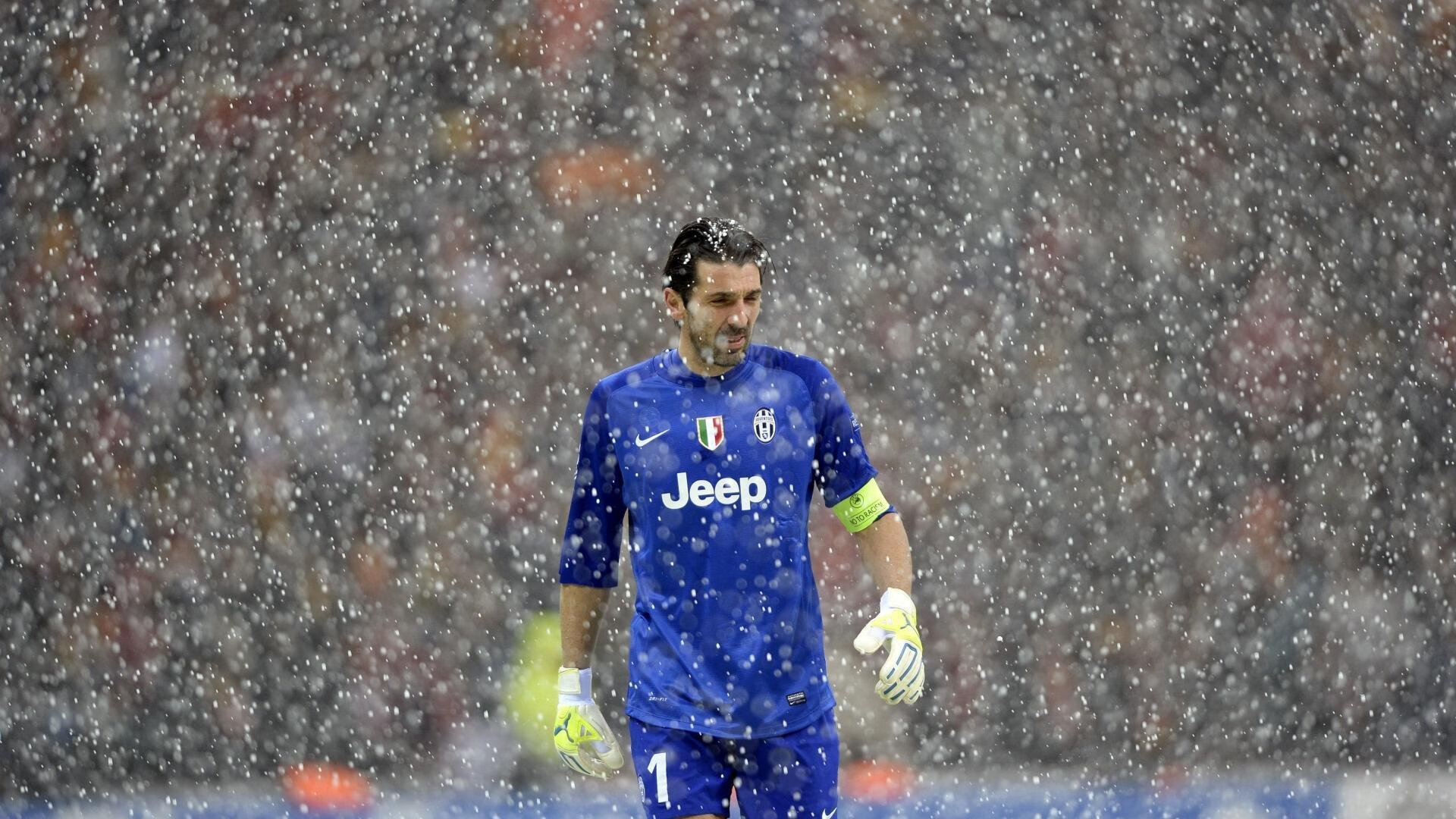 爱游戏在线娱乐官网-帕利斯特女子自由泳项目冉冉升起新星，帕特里斯